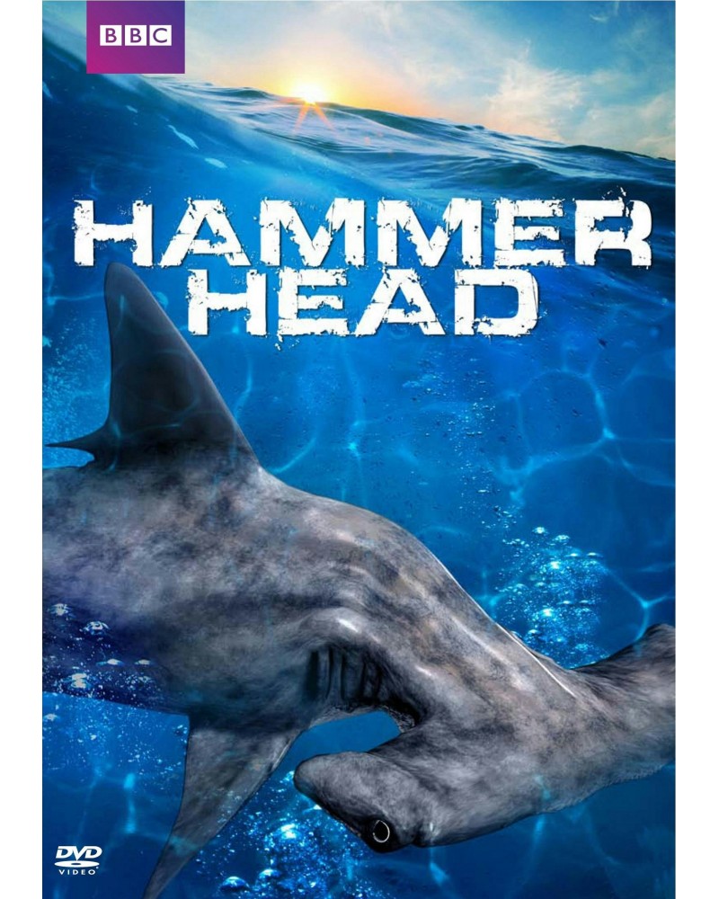 Hammerhead DVD $6.44 Videos