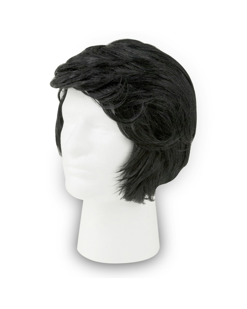 Elvis Presley Costume Wig $6.09 Accessories