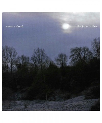 The June Brides JANUARY MOON Vinyl Record $3.19 Vinyl