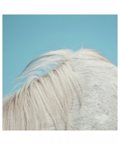 Widowspeak All Yours Vinyl Record $8.40 Vinyl