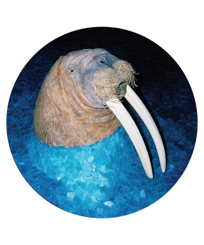 Tross WALRUS Vinyl Record $8.48 Vinyl