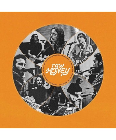 Drugdealer Raw Honey Vinyl Record $9.80 Vinyl