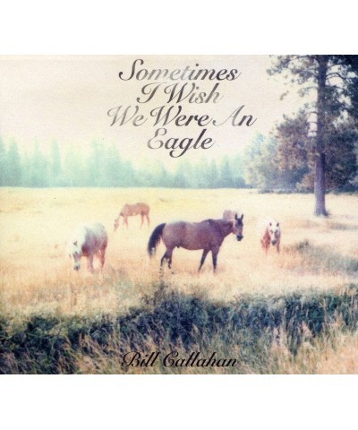 Bill Callahan Sometimes I Wish We Were An Eagle Vinyl Record $6.67 Vinyl