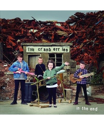 The Cranberries In The End Vinyl Record $9.48 Vinyl