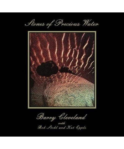 Barry Cleveland Stones of Precious Water Vinyl Record $9.40 Vinyl