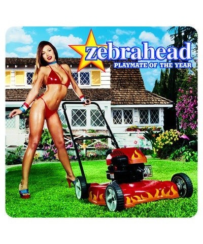 zebrahead PLAYMATE OF THE YEAR CD $4.93 CD